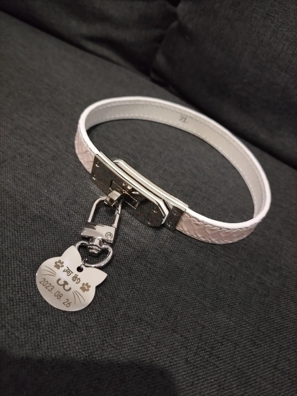 Genuine Python Skin Choker Collar with Engraved Tag