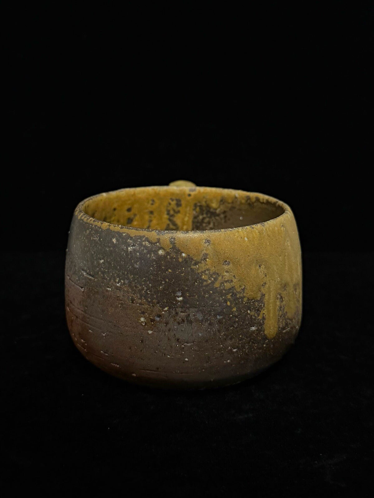 1000462310720 - Image 4
