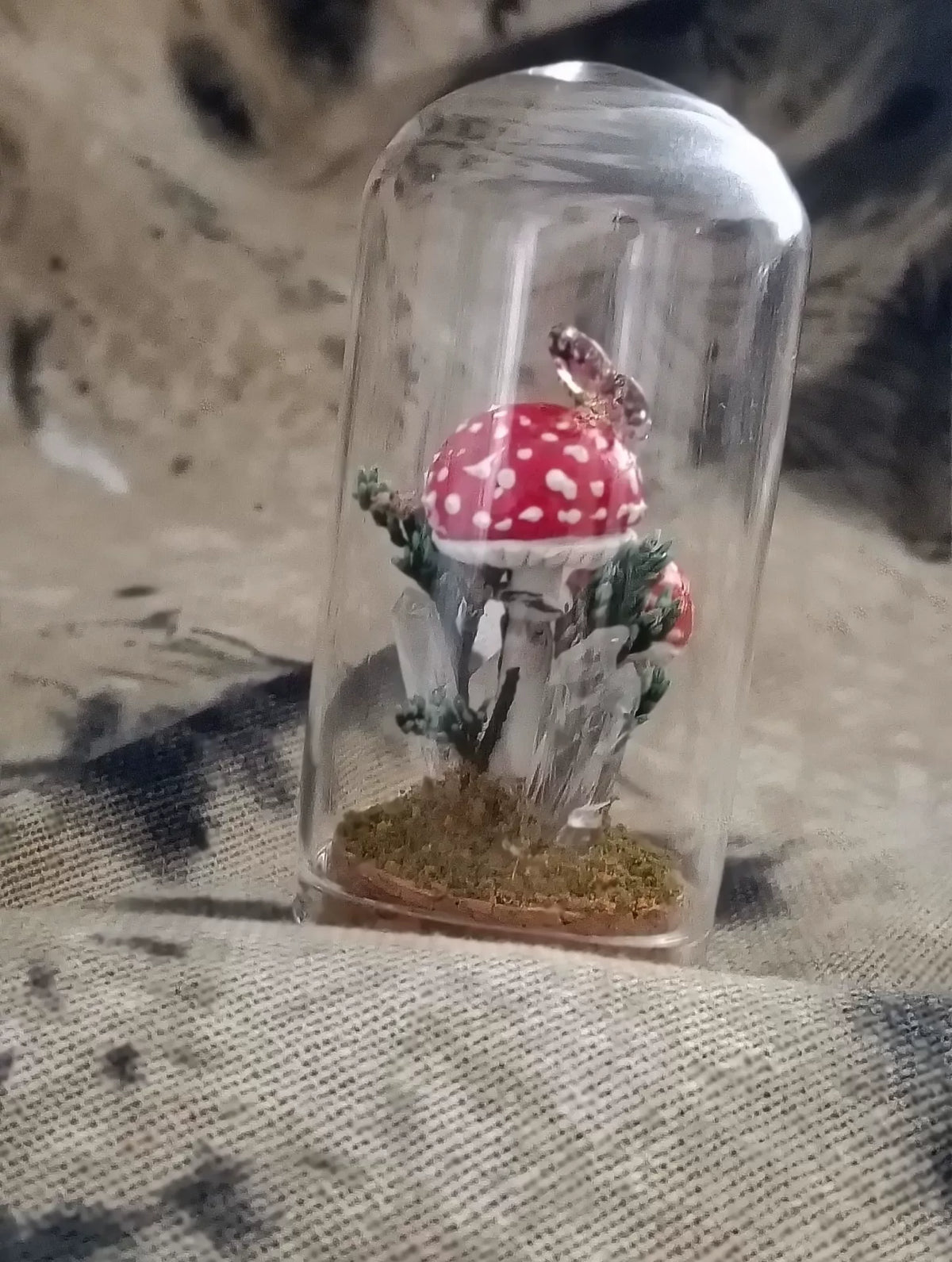 Terrário de Cogumelos Artesanal em Cúpula de Vidro