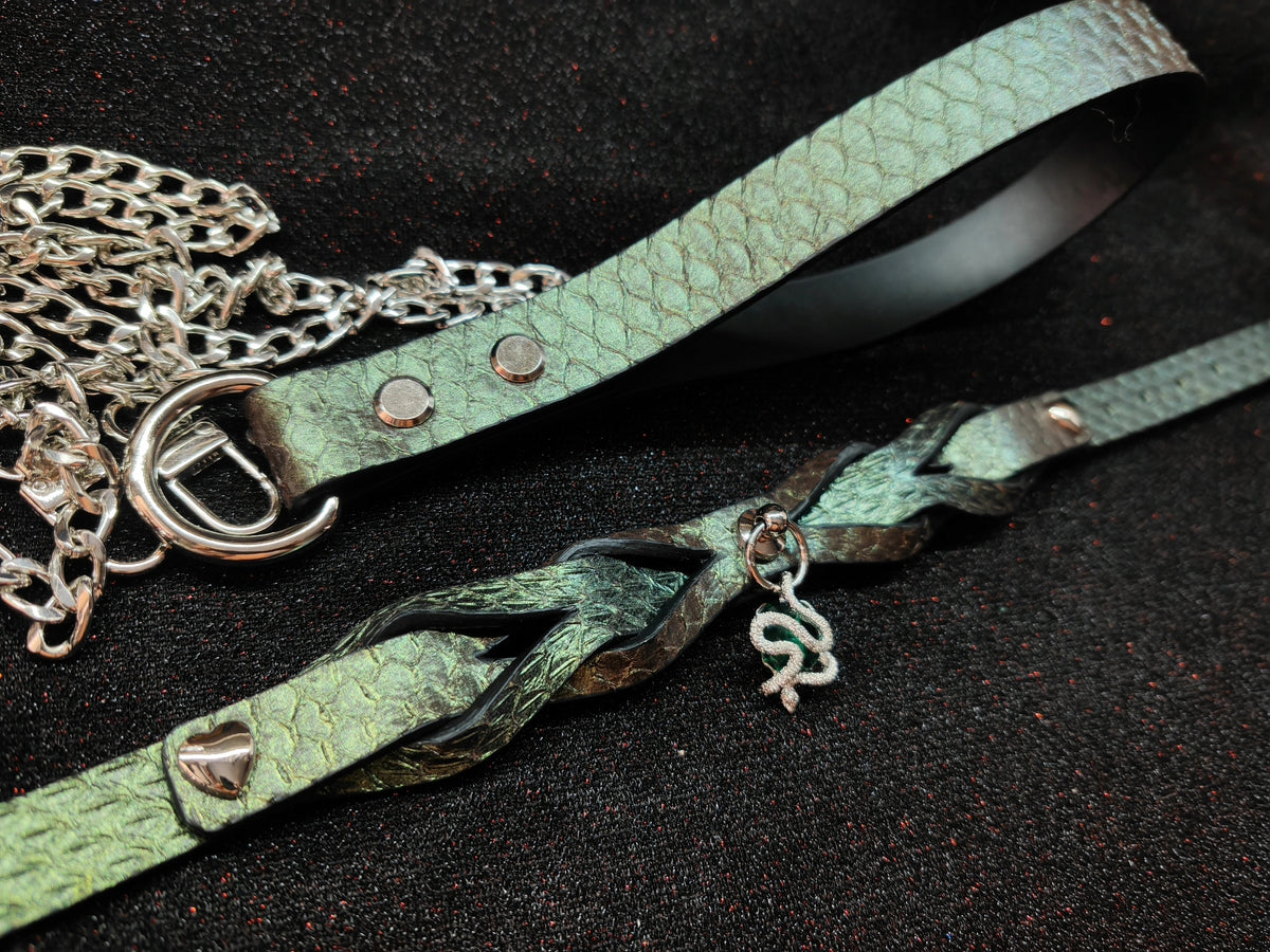 Individuelles Leder-Hethalsband- und Leinen-Set
