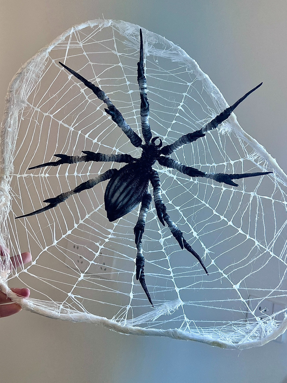 Posed Spider Figure with Web Prop