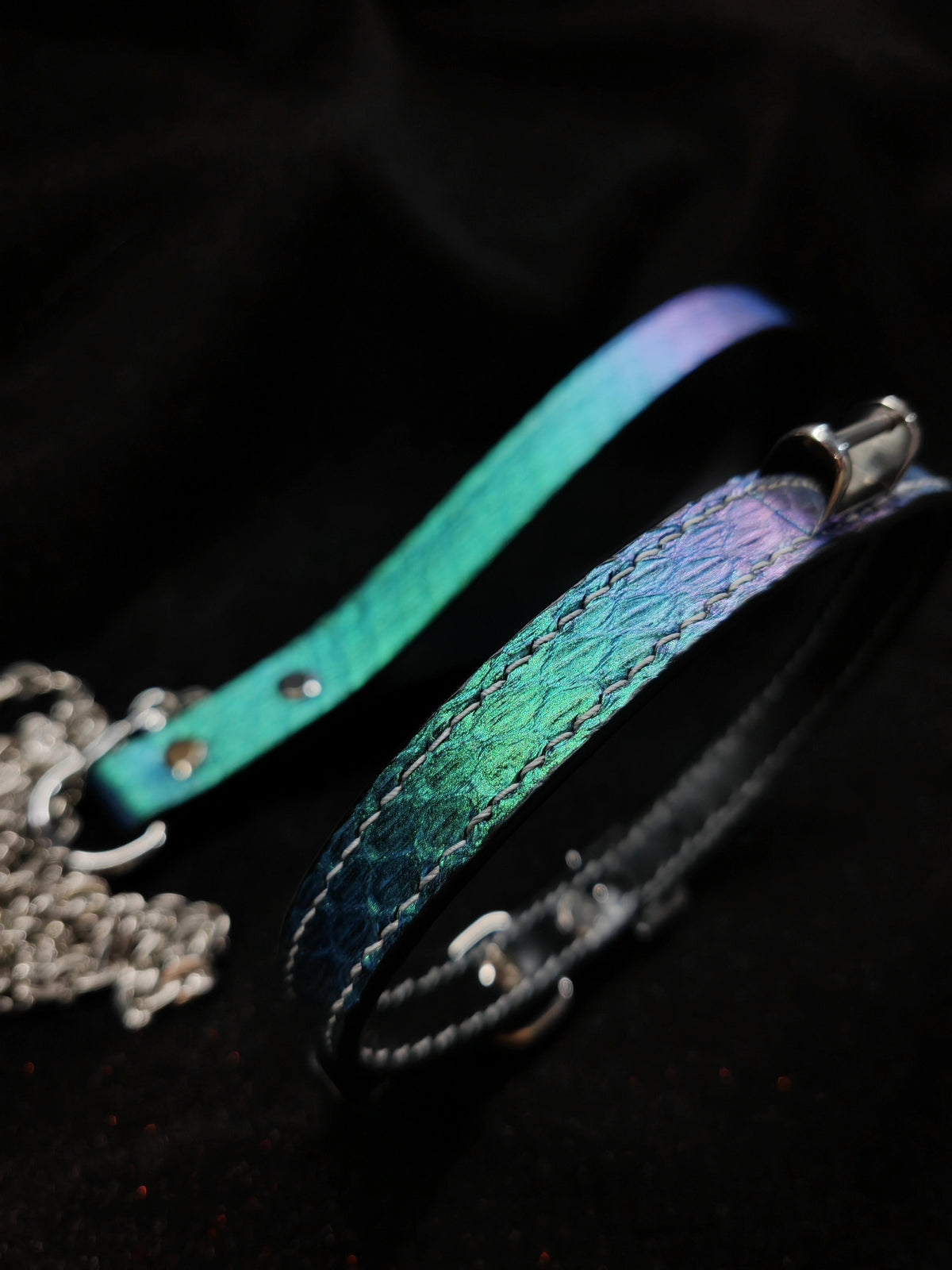 Iridescent Snakeskin Leather Pet Collar Leash Set
