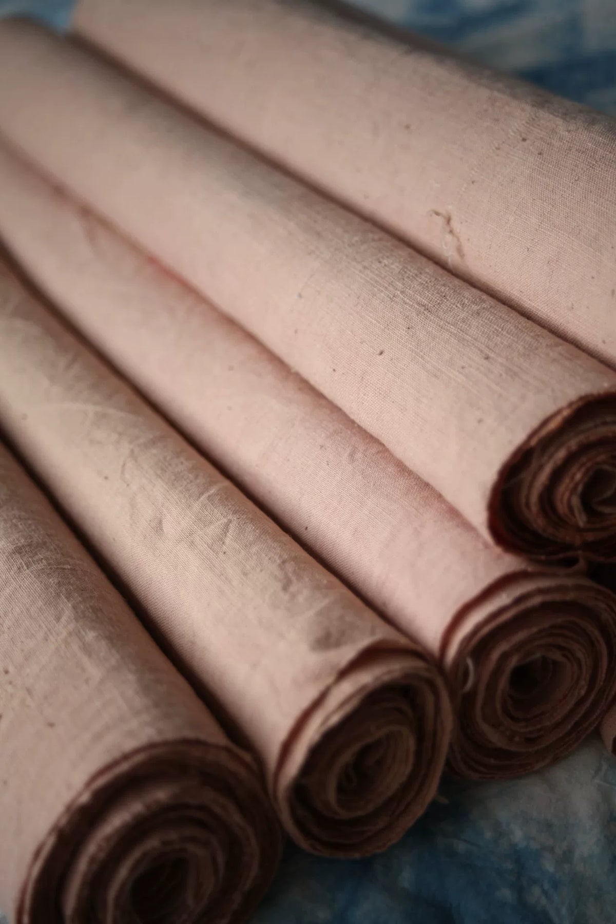 Tecido Rosa Tingido com Plantas de Raiz de Rubia