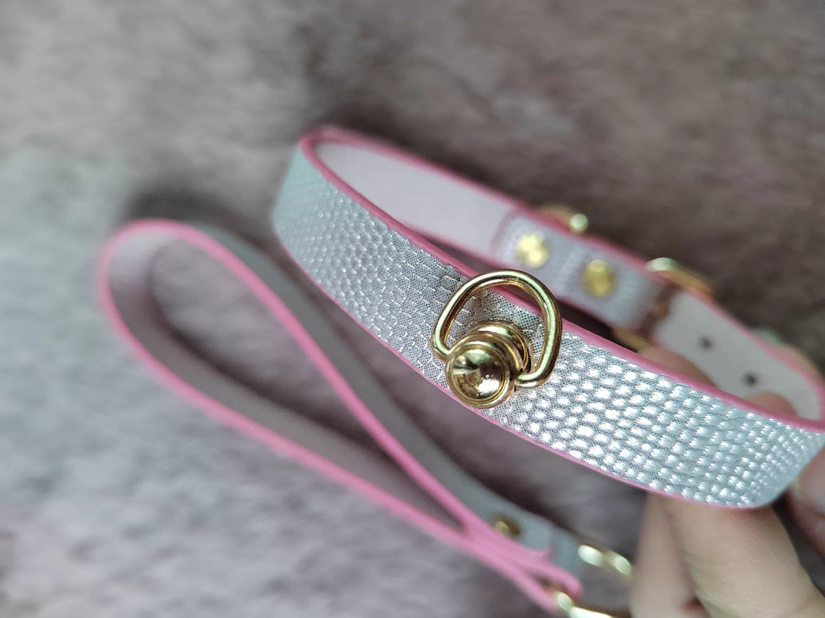 Set collare e choker per animali argento sfumato