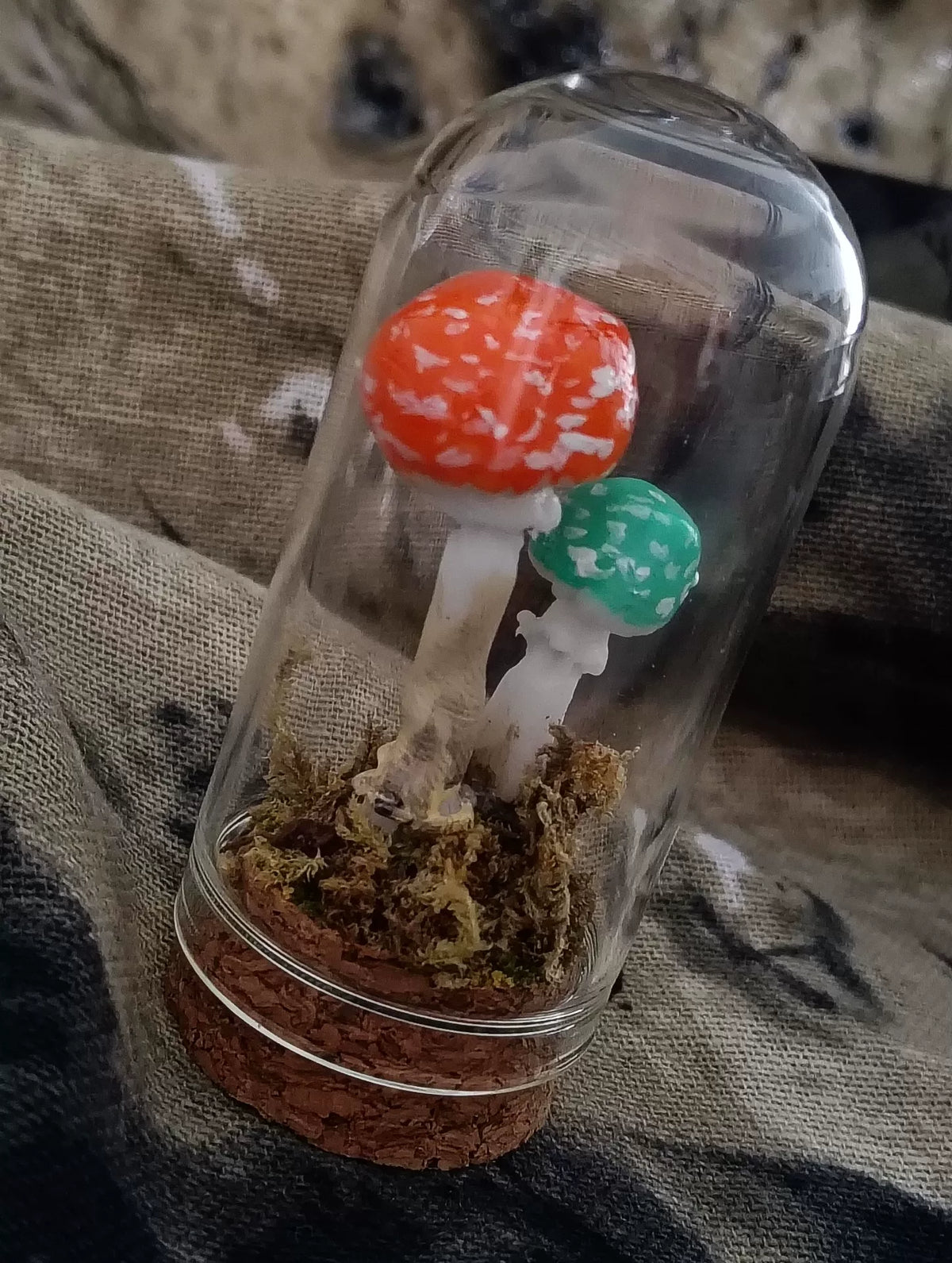 Handgefertigtes Pilz-Terrarium mit Glasglocke