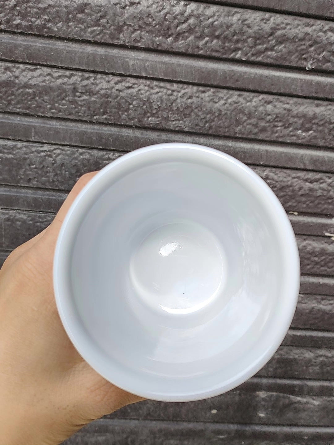 955981779606 - Image 6
