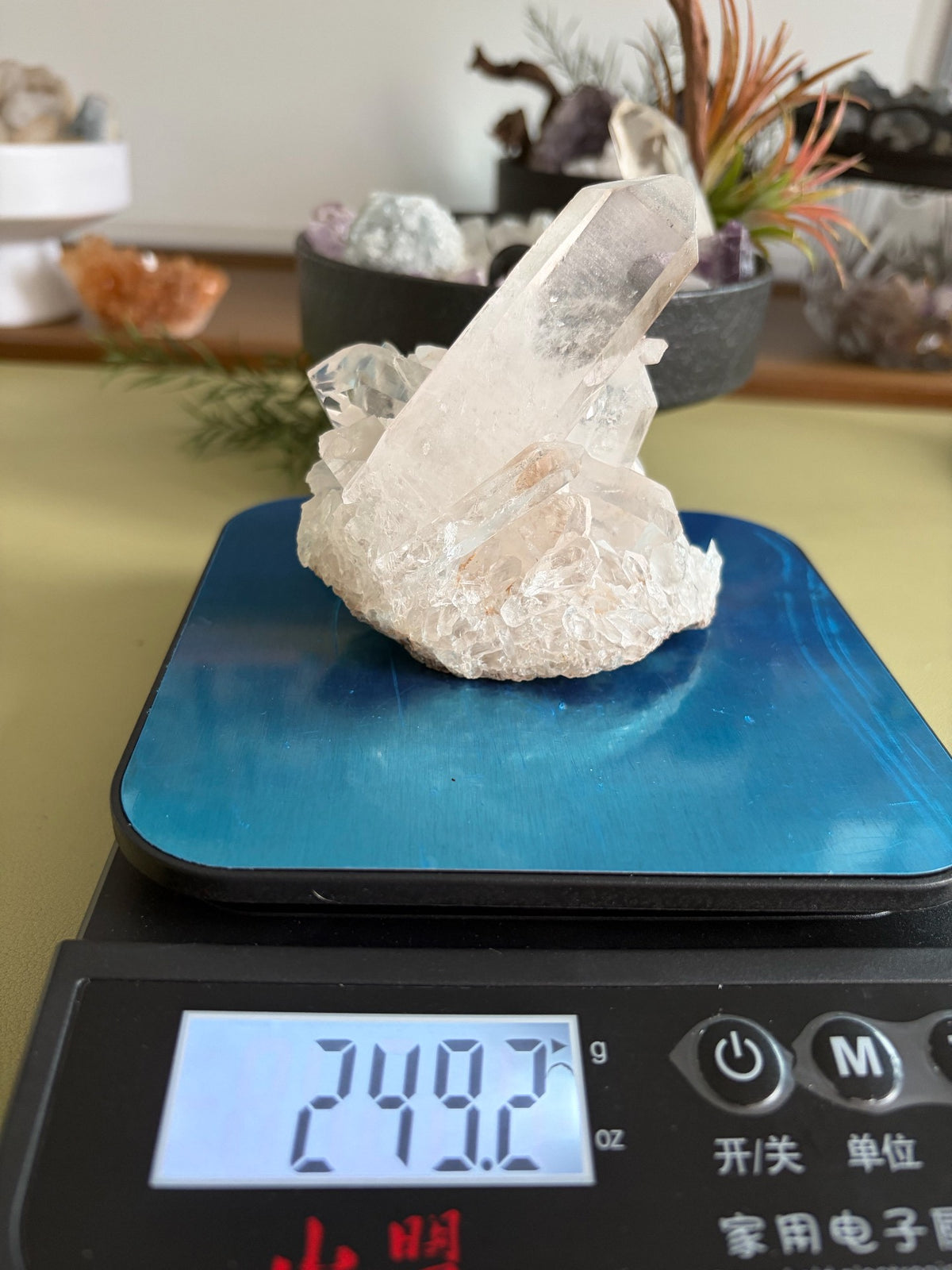 Arreglo decorativo de maceta de cristal de cuarzo blanco
