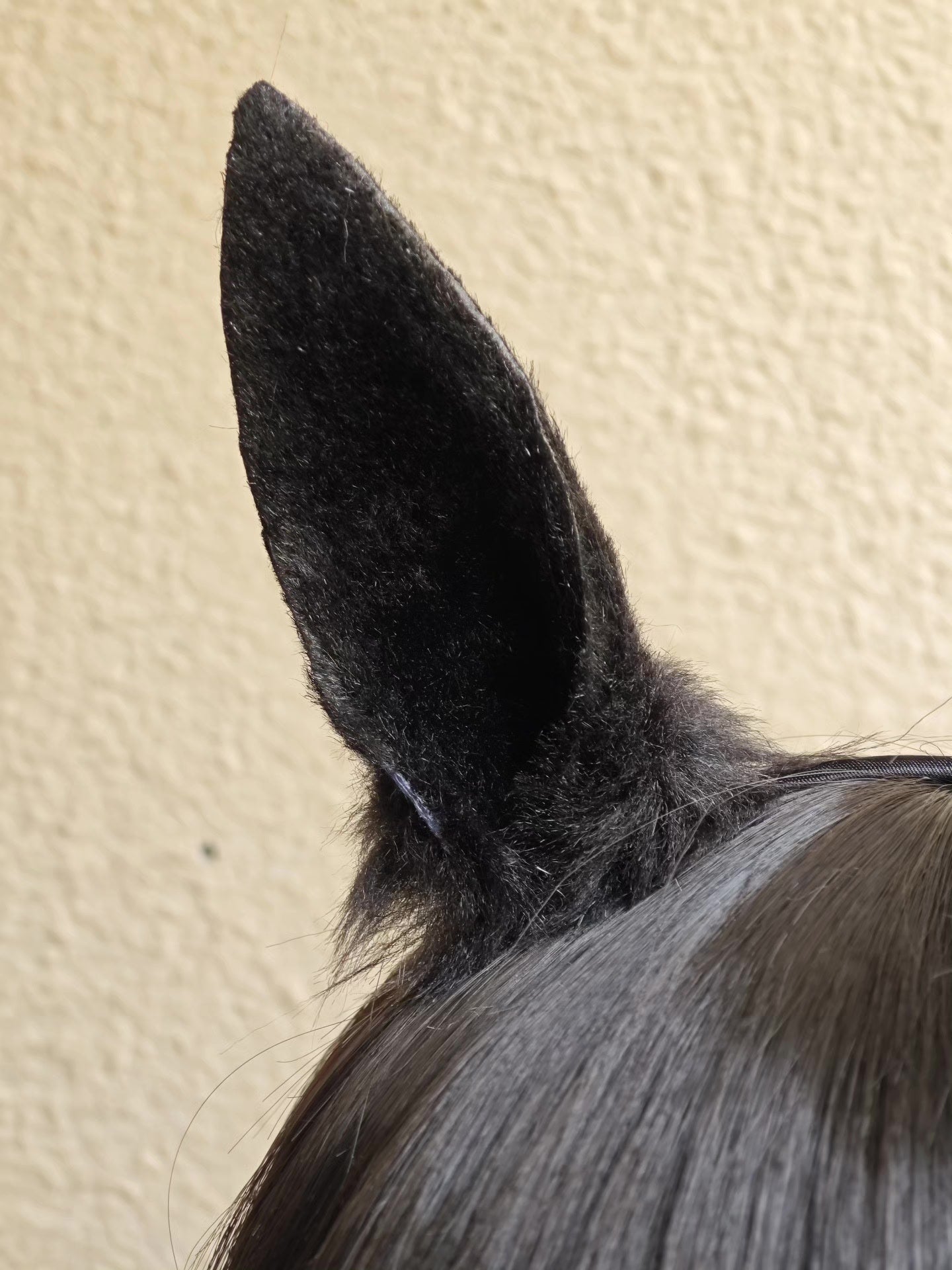 Black Plush Horse Ears Headband