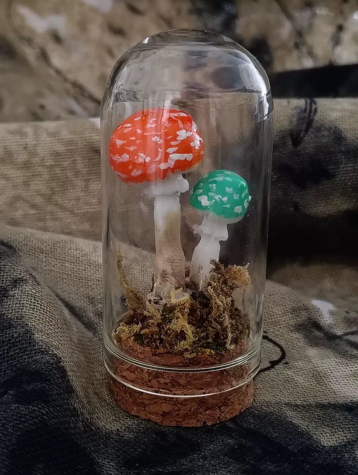 Handgefertigtes Pilz-Terrarium mit Glasglocke
