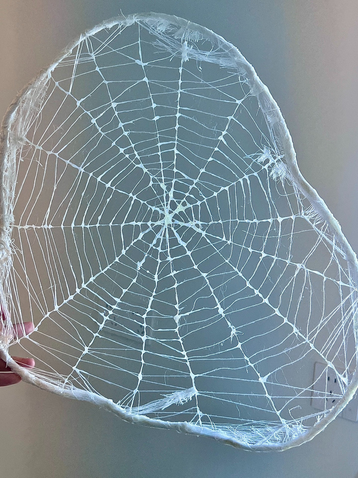 Posed Spider Figure with Web Prop