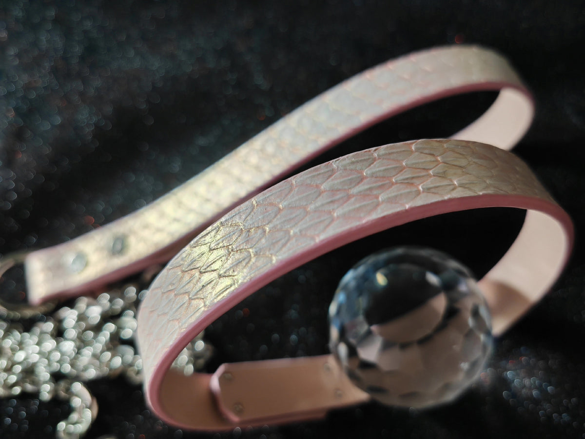 蛇エンボスレザー ペット用首輪・リードセット