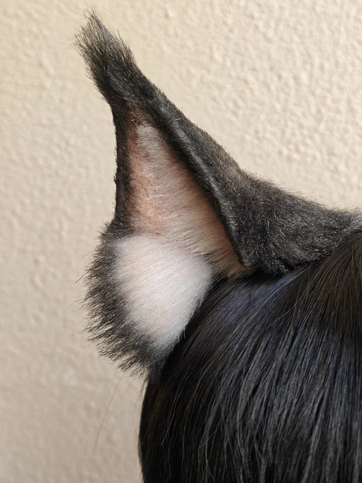 Realistische Bruinzwarte Kattenoren voor Cosplay