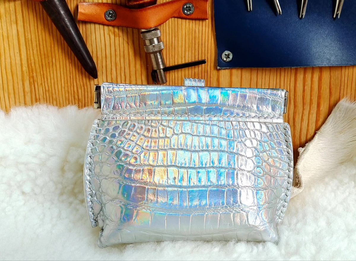 Custodia wenwan in pelle di pesce iridescente