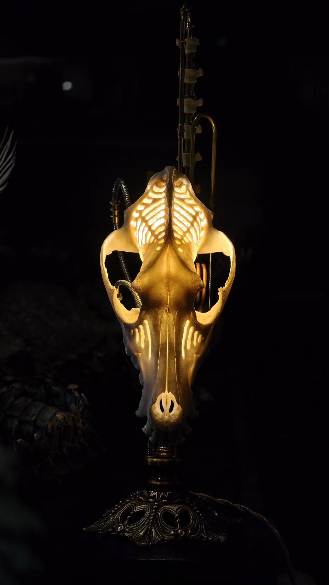 Mechanical Bone Lamp with Brass Vertebrae Base