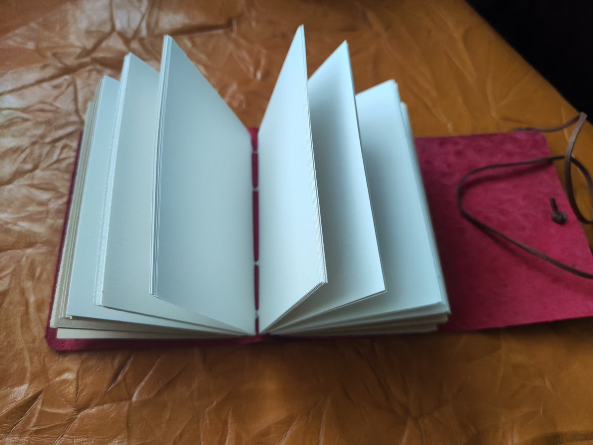Ostrich Leather Journal Red Pocket Size