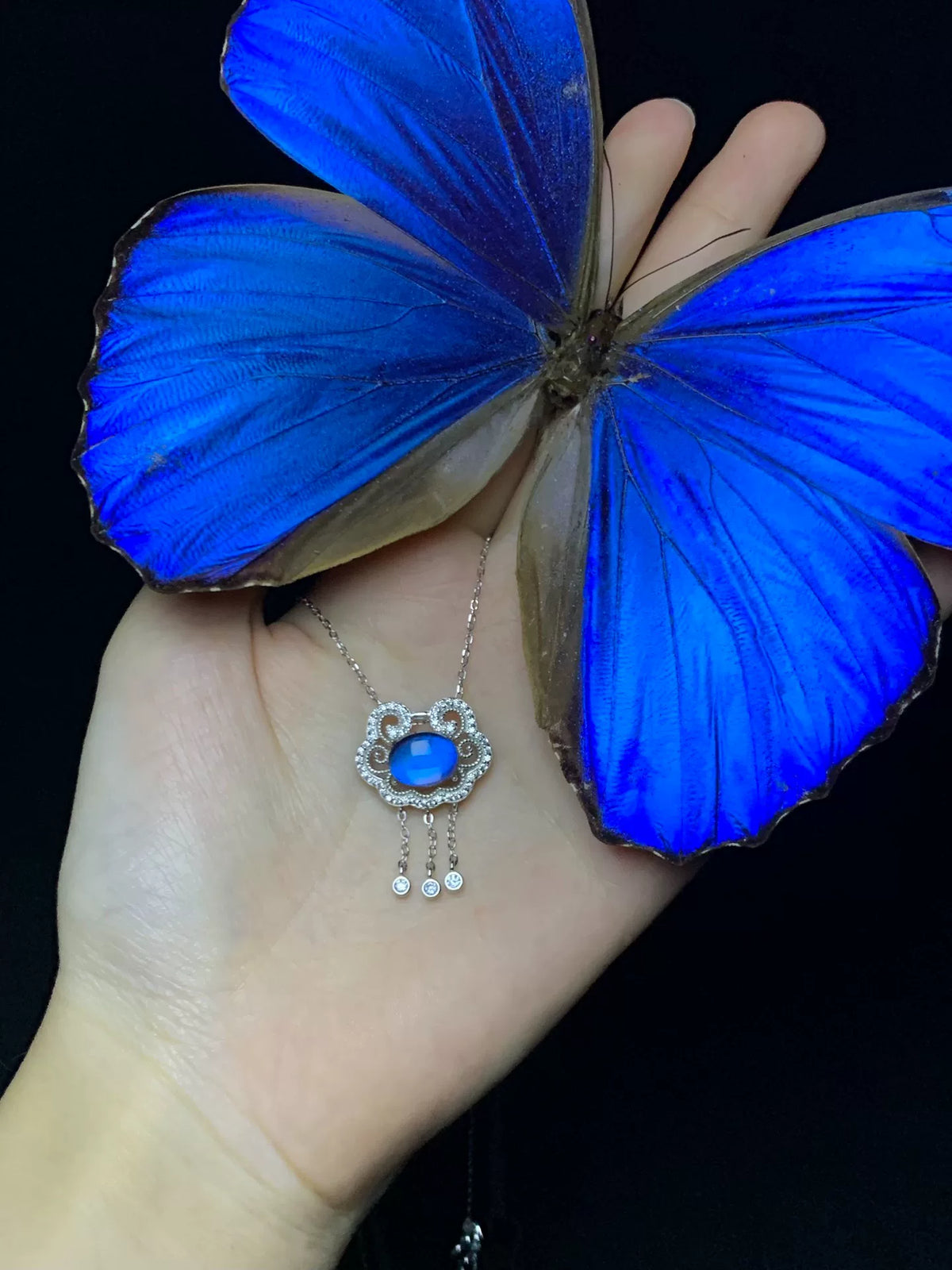 S925 Silber Schmetterlingshalskette mit blauem Kristall-Anhänger