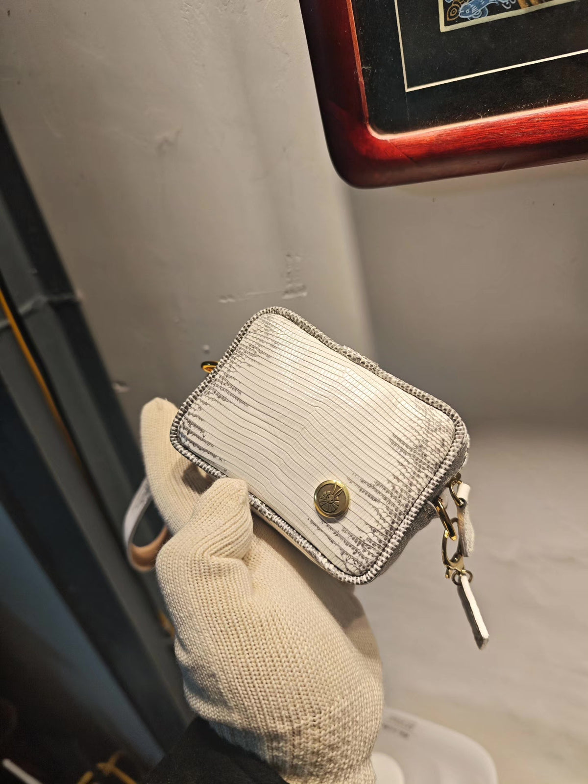 Himalaya-Echenschhaut kleine quadratische Handtasche