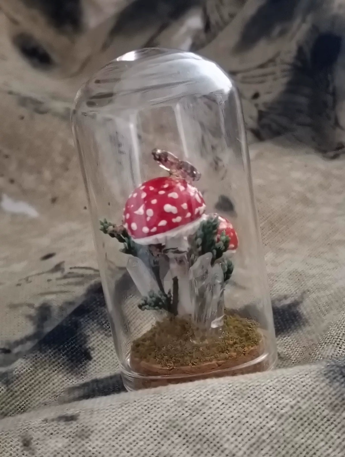 Terrário de Cogumelos Artesanal em Cúpula de Vidro