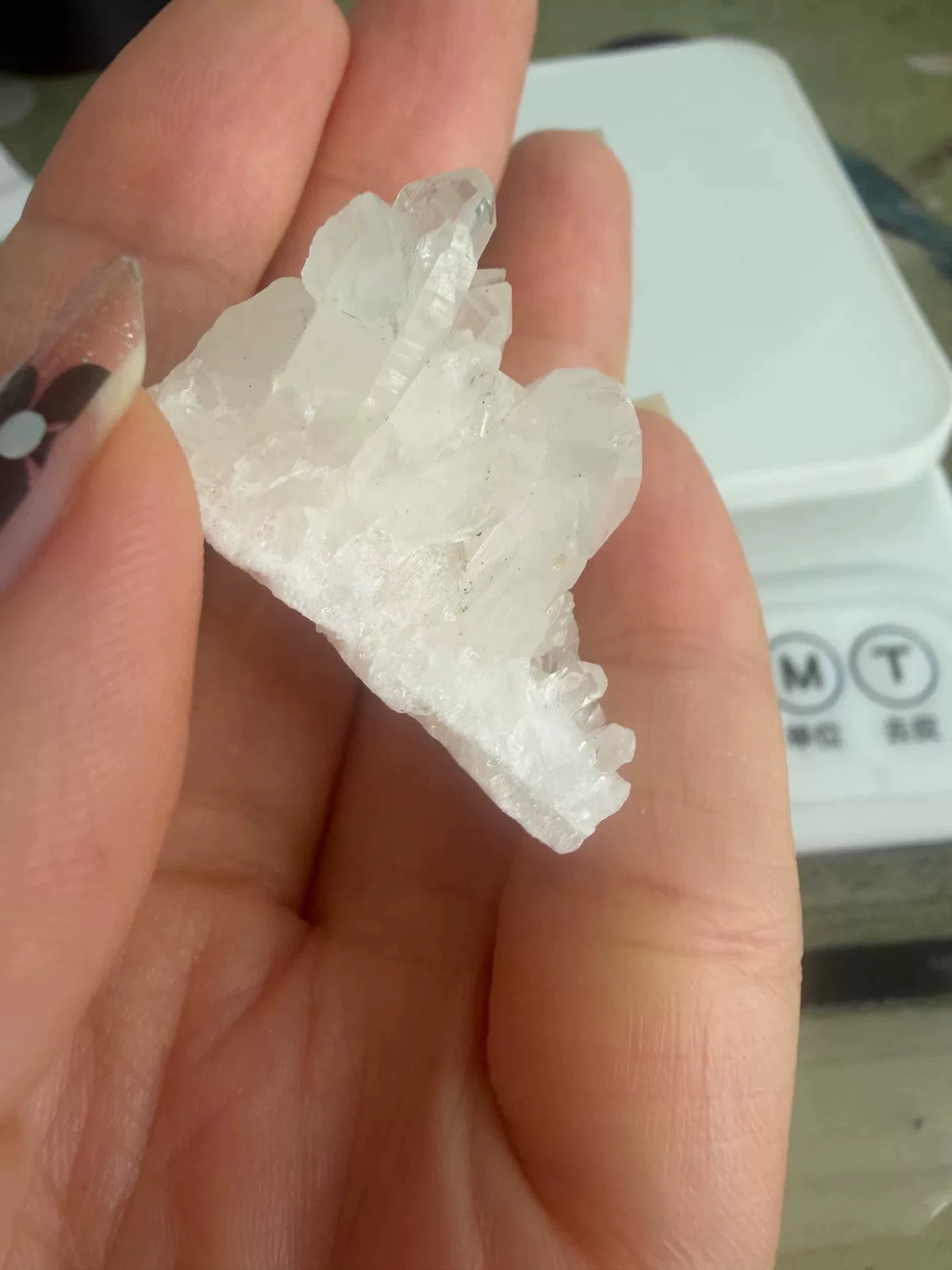 Amstel Kwarts Tourmaline Kristal Miniatuur Landschap