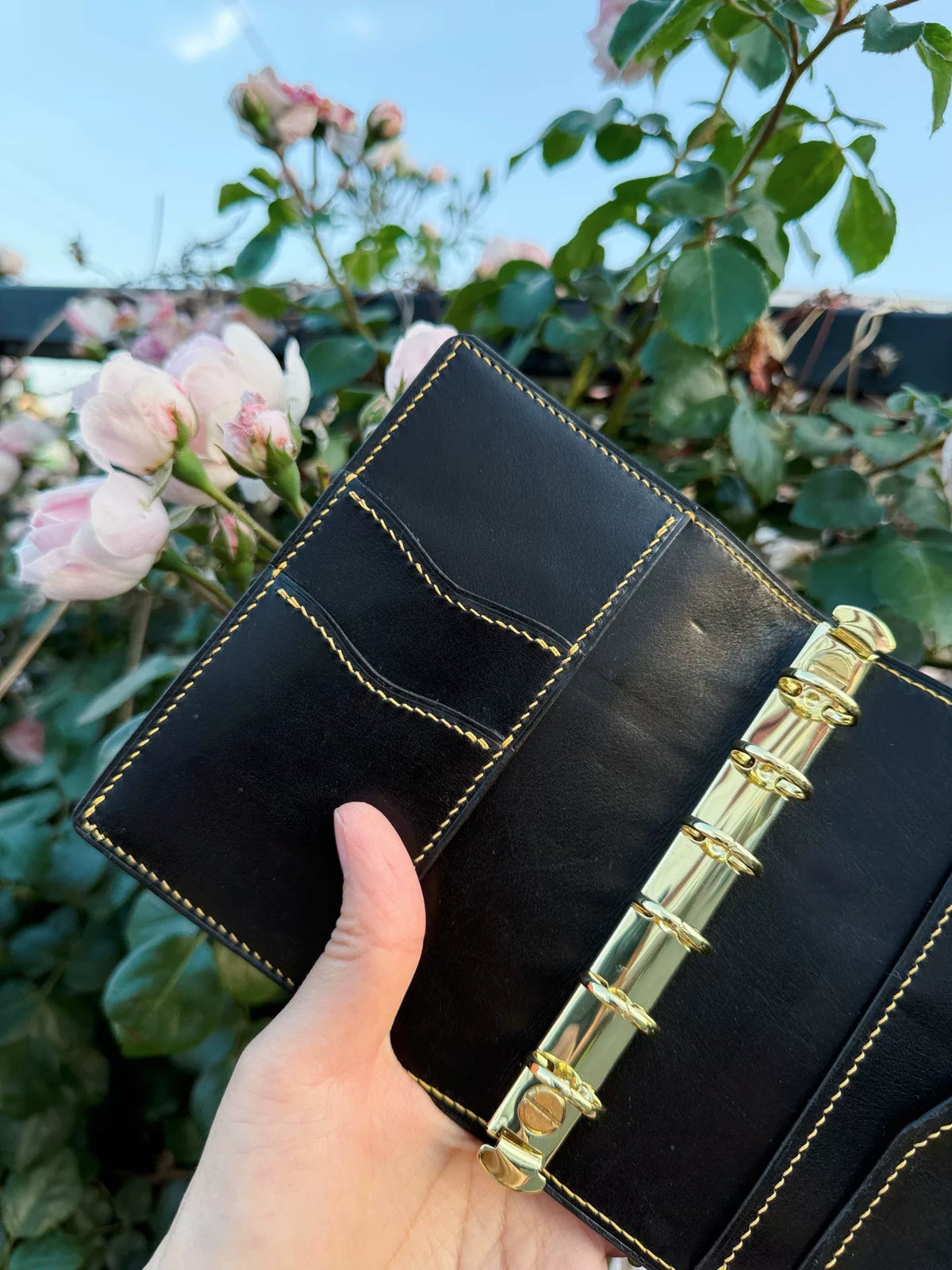 788577389354 - Image 5