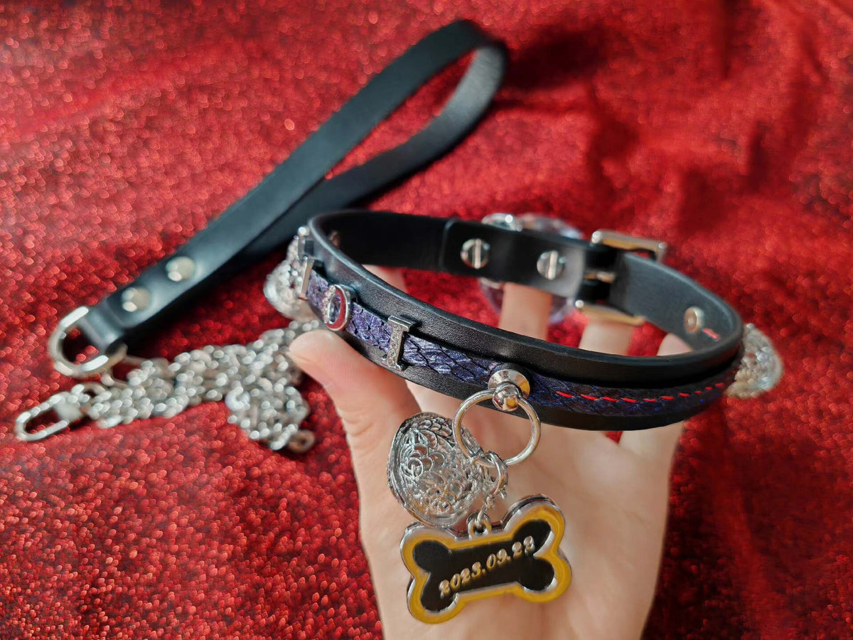 Set collare e guinzaglio per cani in pelle nera