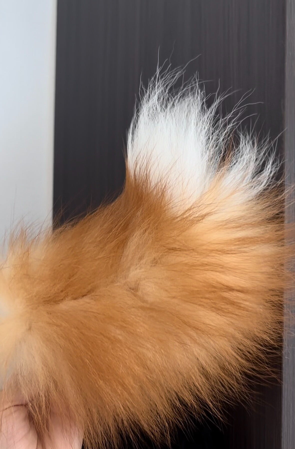 Conjunto de Orelhas de Cão Móveis e Cauda de Raposa em Pele