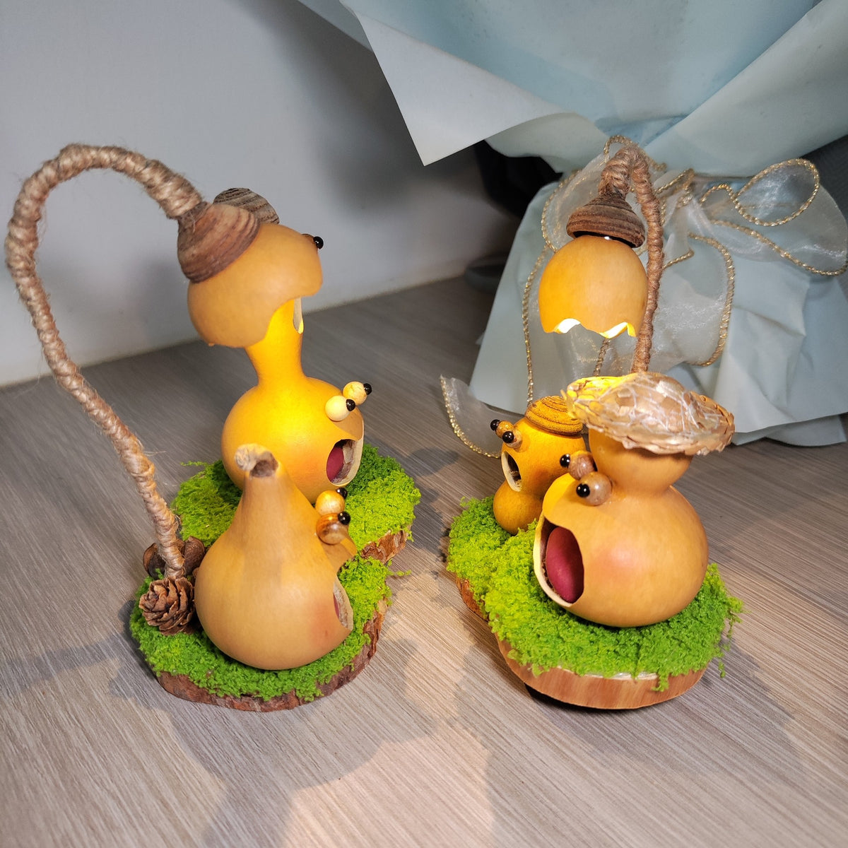 Natural Gourd Handmade Night Light Decor