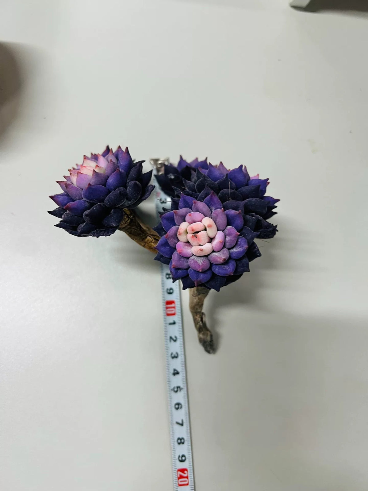 Decoração de Suculenta Roxa em Argila de Resina