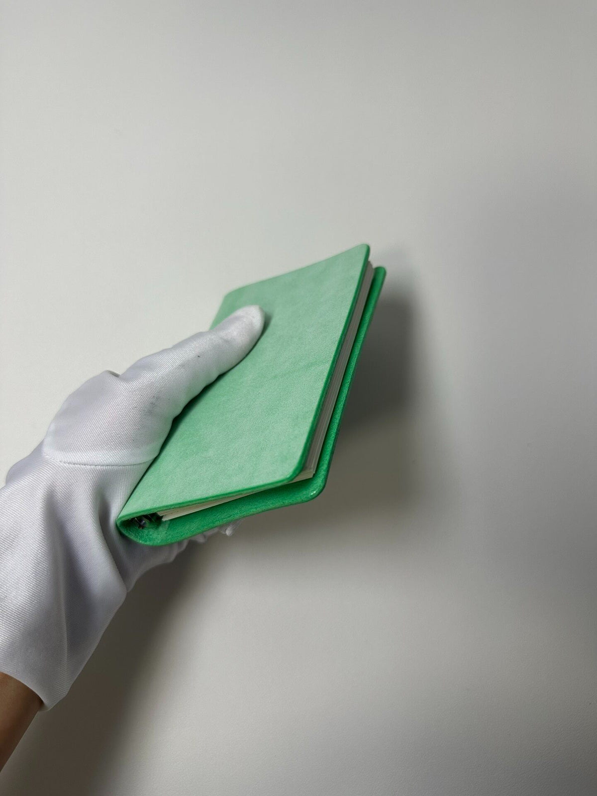 Mint Green Leather 11 Ring Binder Notebook