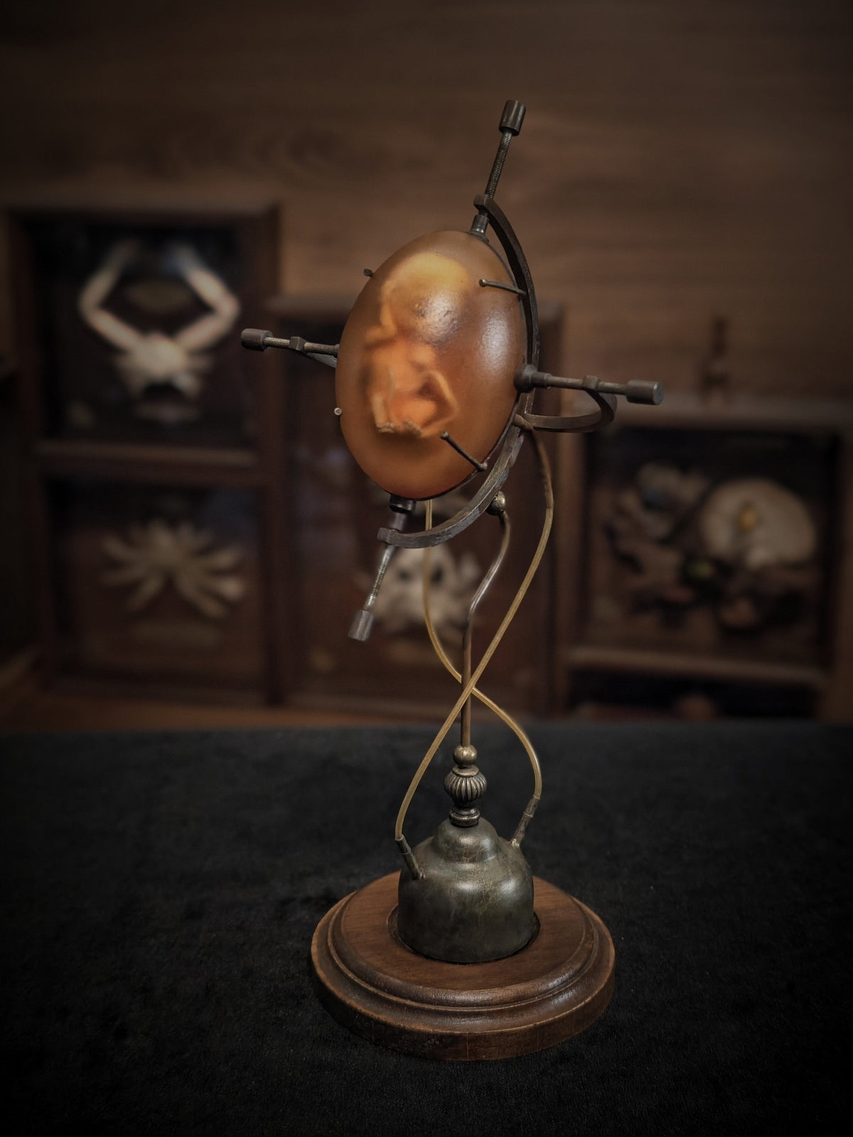 1071380130479 - Image 1
