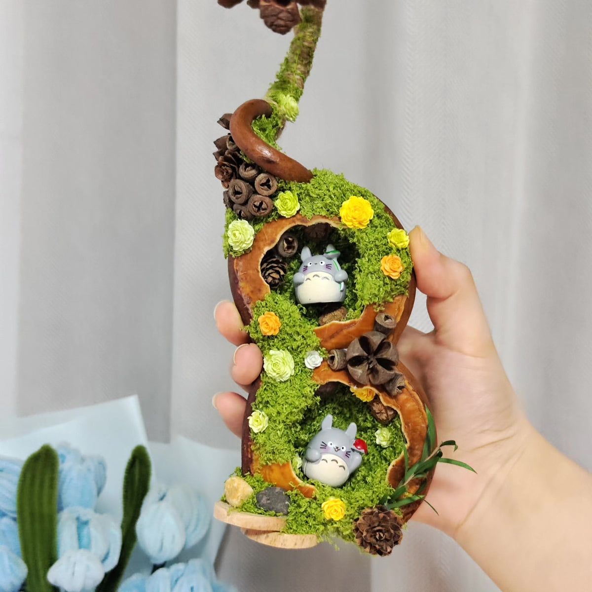 Ornement en gousse d'Entada artisanal avec mousse