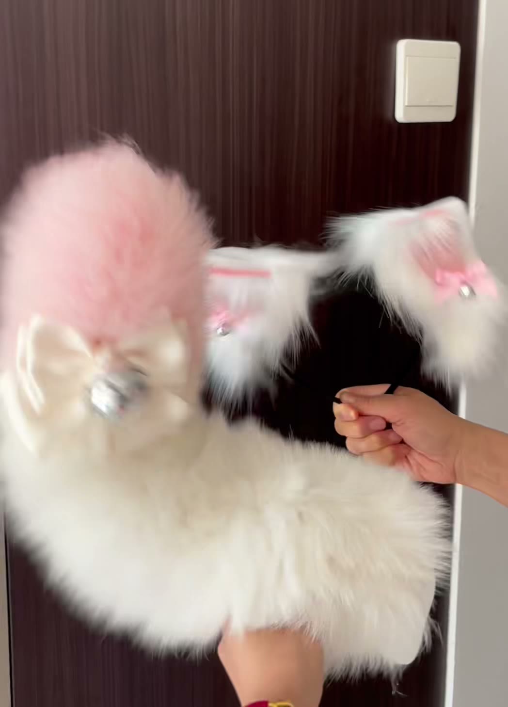 White Pink Electric Cat E