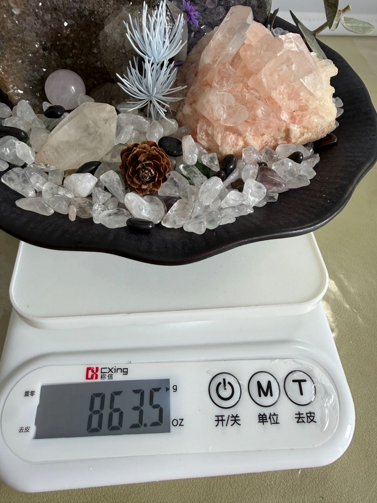 Jardín de Cristales en Plato de Loto Negro