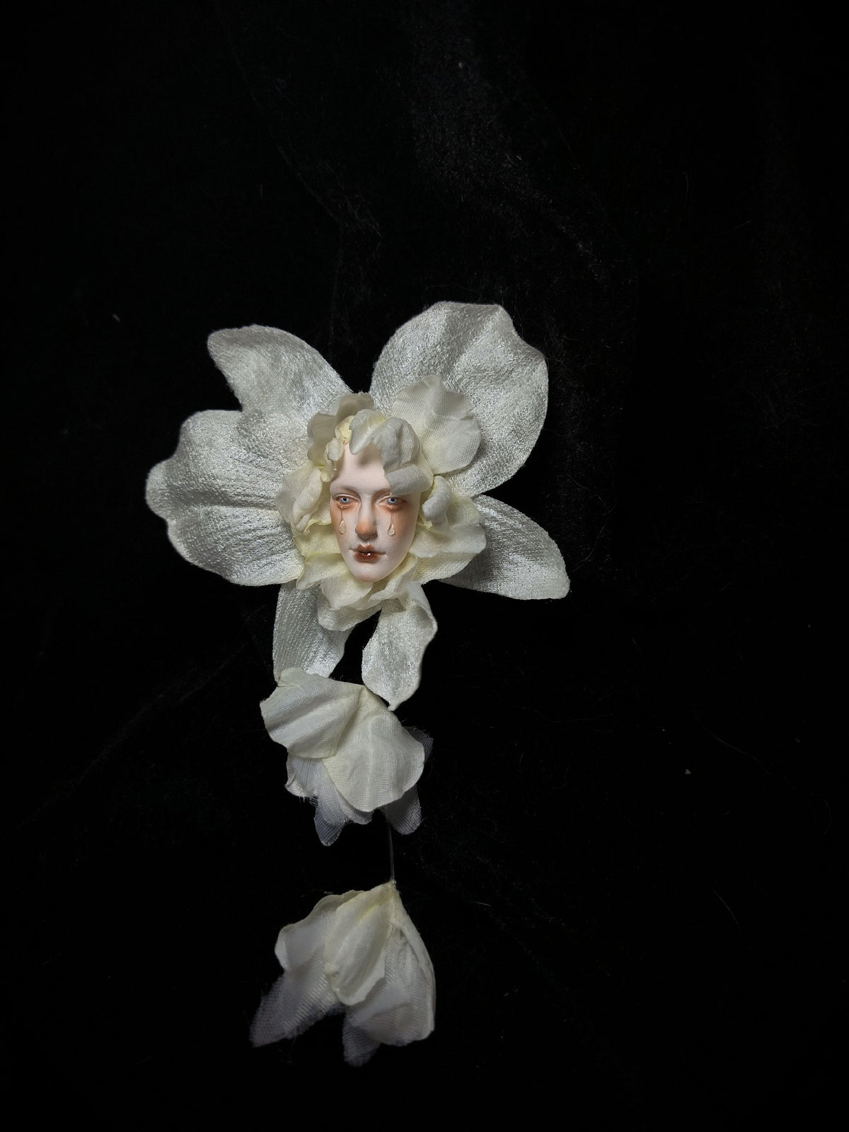 867707748741 - Image 4