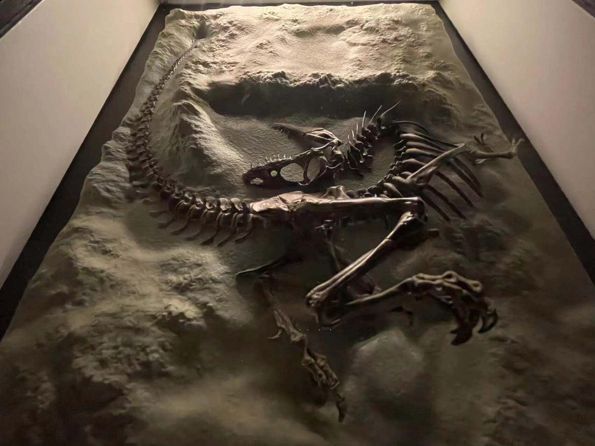 Gorgonopsid 1 18 Scale Skeleton Model