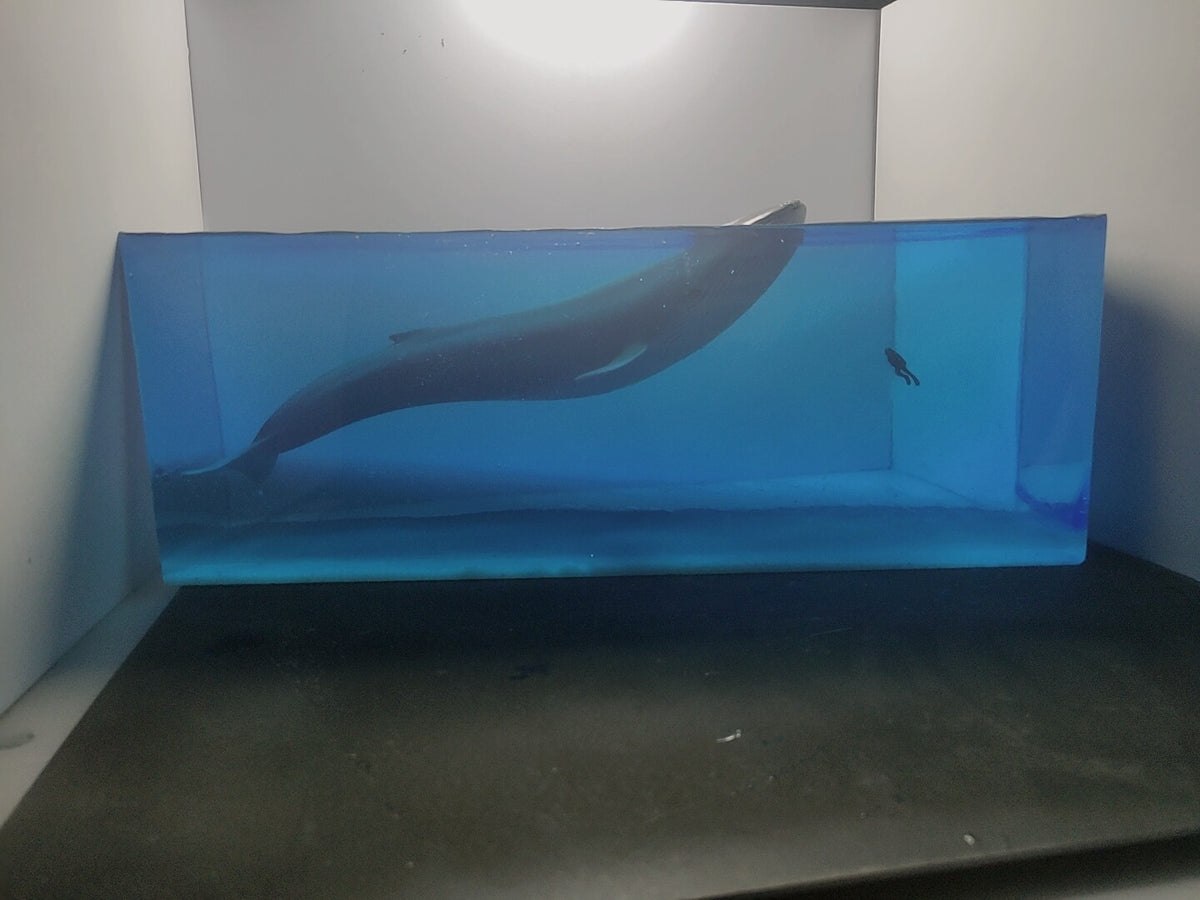 654246326478 - Image 1