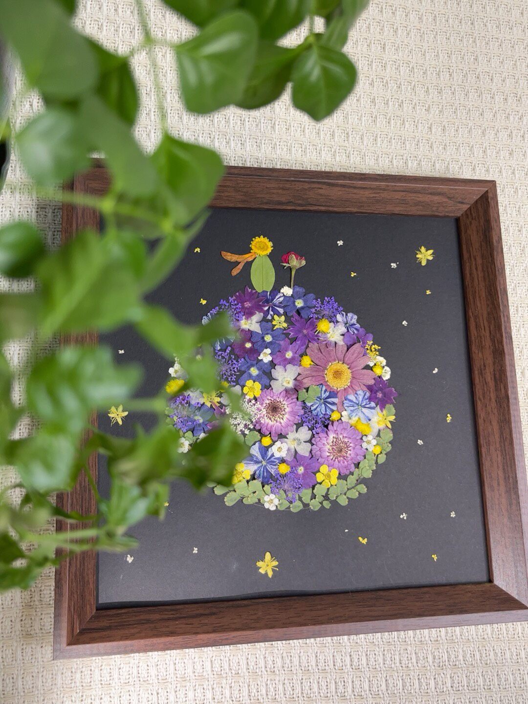 Pressed Flower Planet Picture Frame