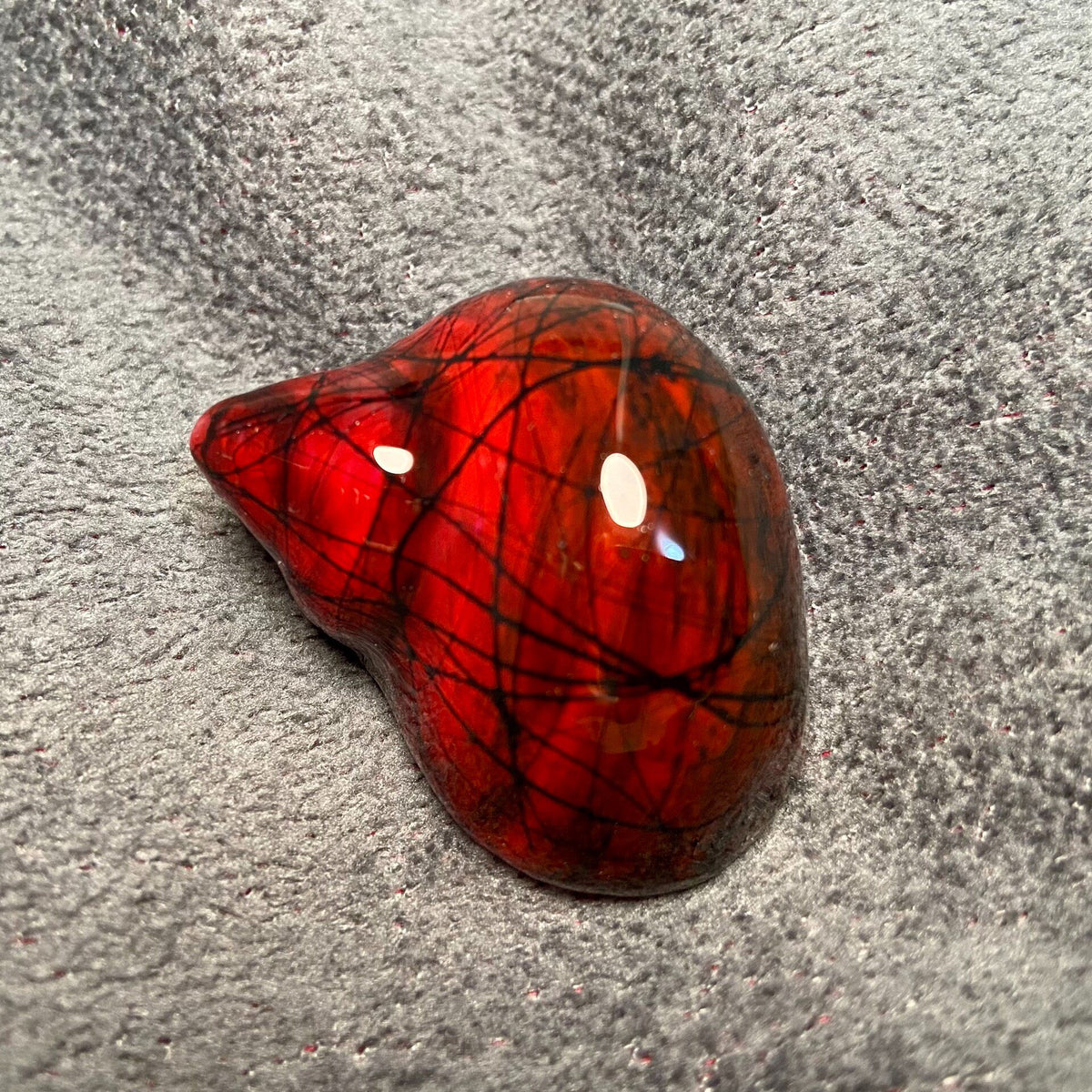 Hermit Crab Replacement Shell Dark Red Web Pattern