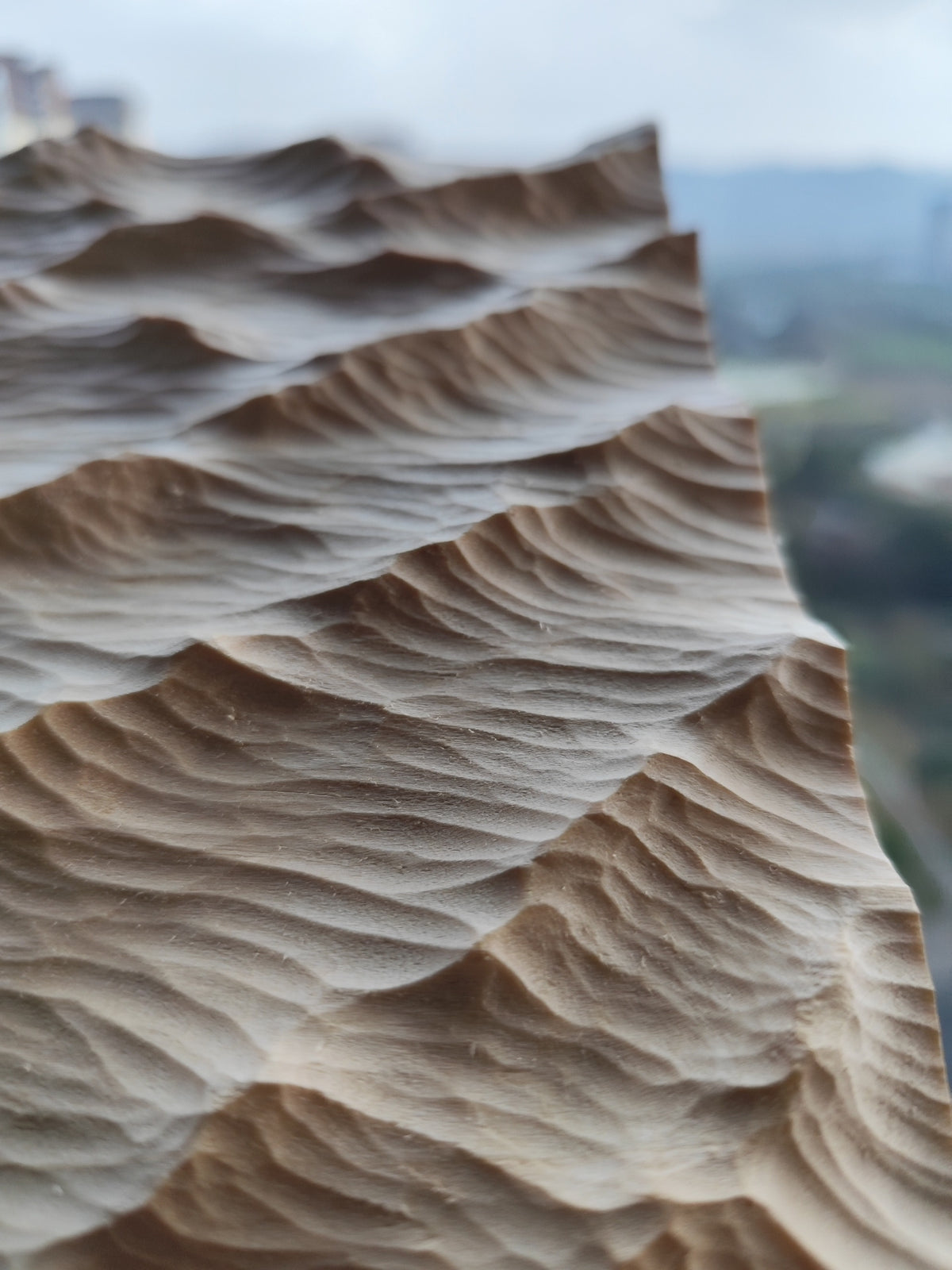 1010417840236 - Image 4