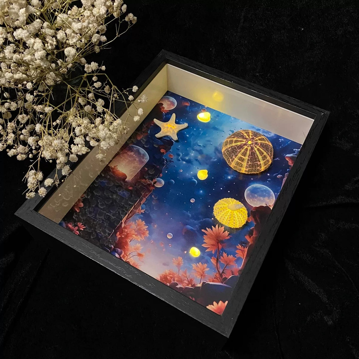 Sea Urchin Lamp Shadow Box Frame