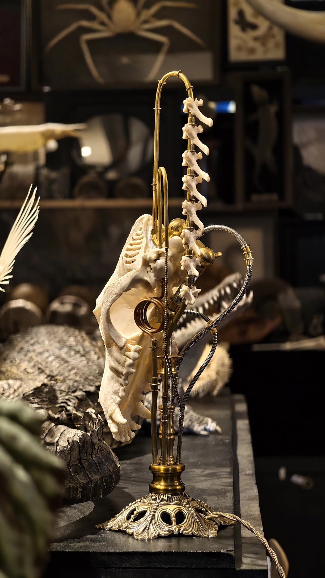 Mechanical Bone Lamp with Brass Vertebrae Base