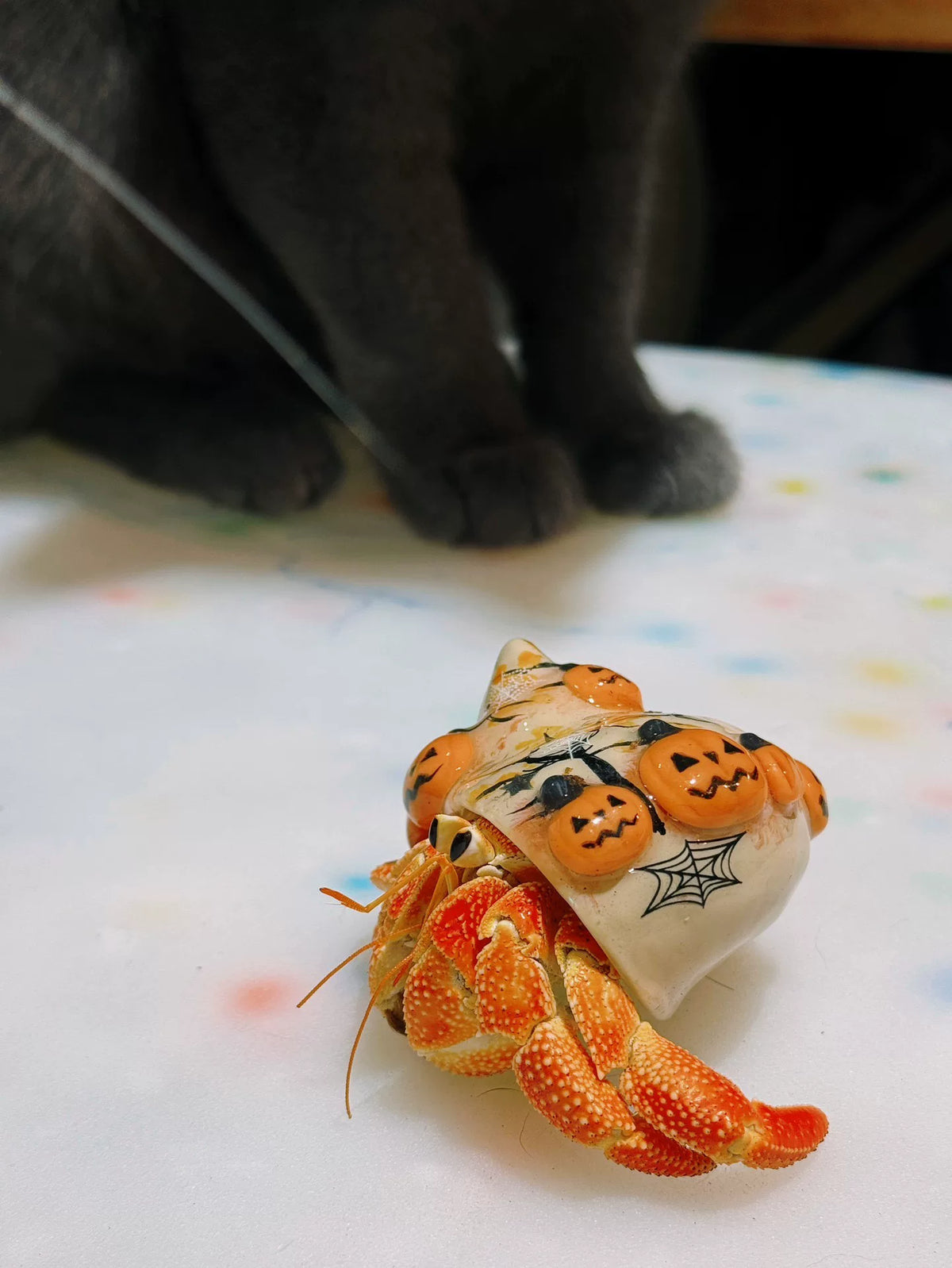 Halloween Pumpkin Tree Hermit Crab Replacement Shell
