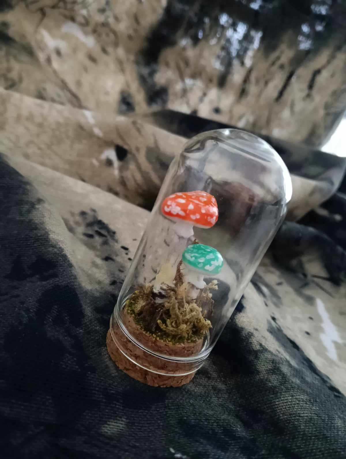 Terrarium de champignons fait main sous cloche de verre