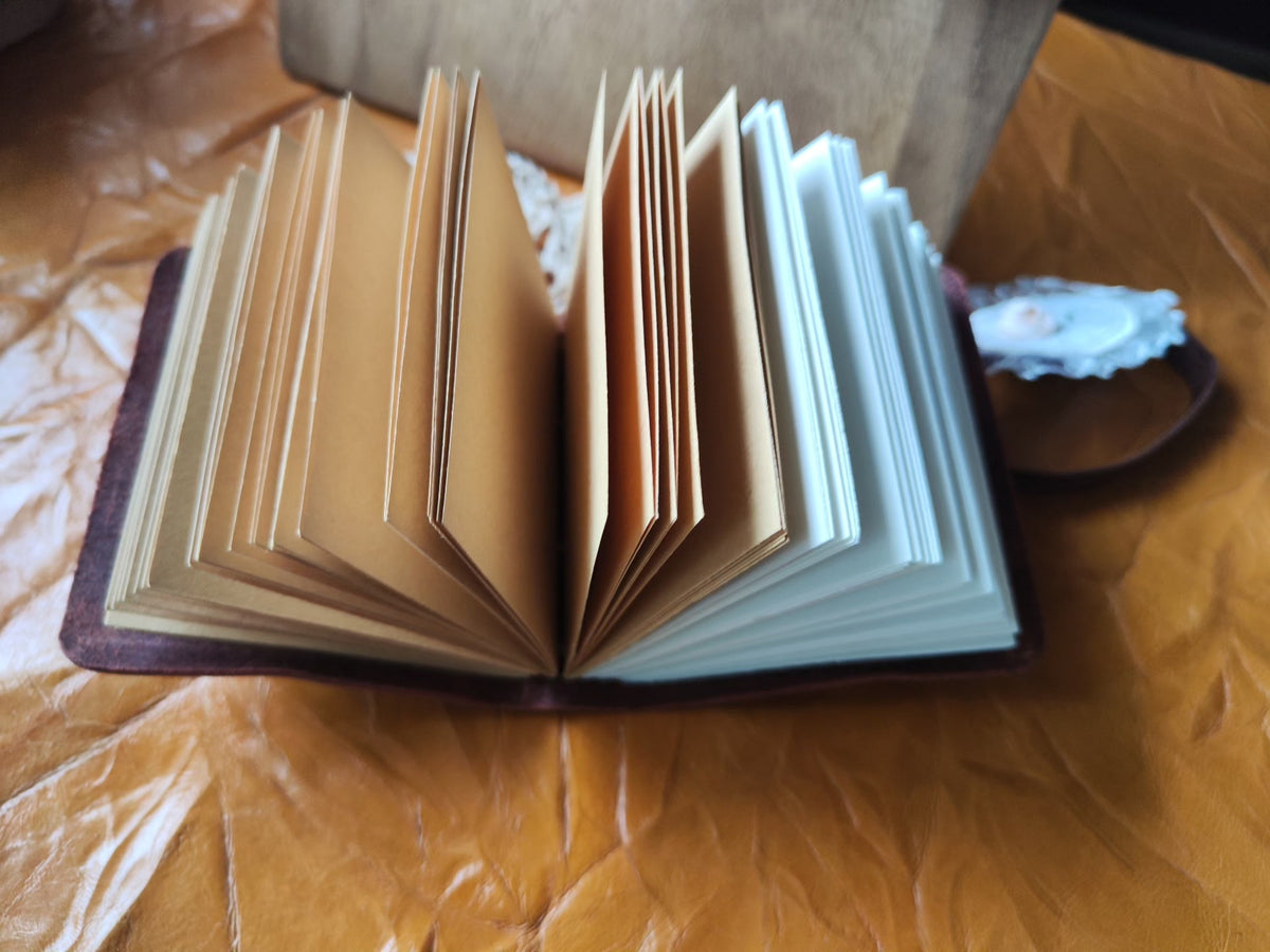 1065324673155 - Image 6