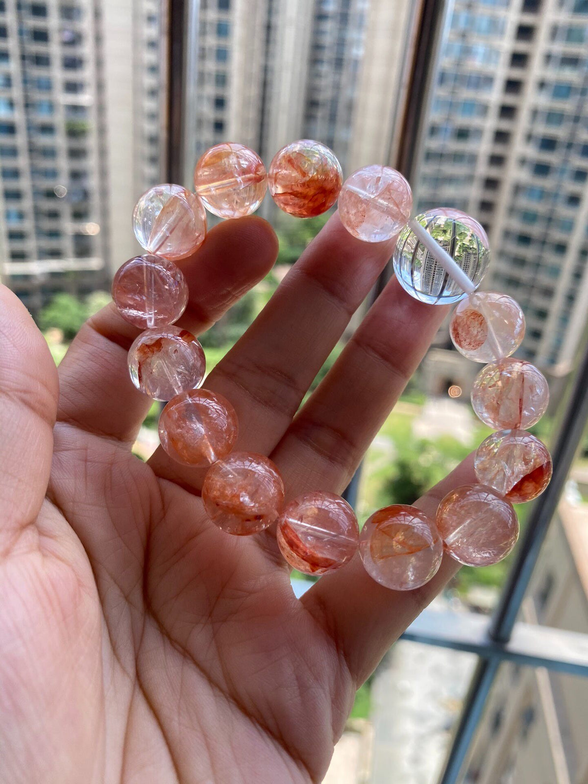 937504448410 - Image 7