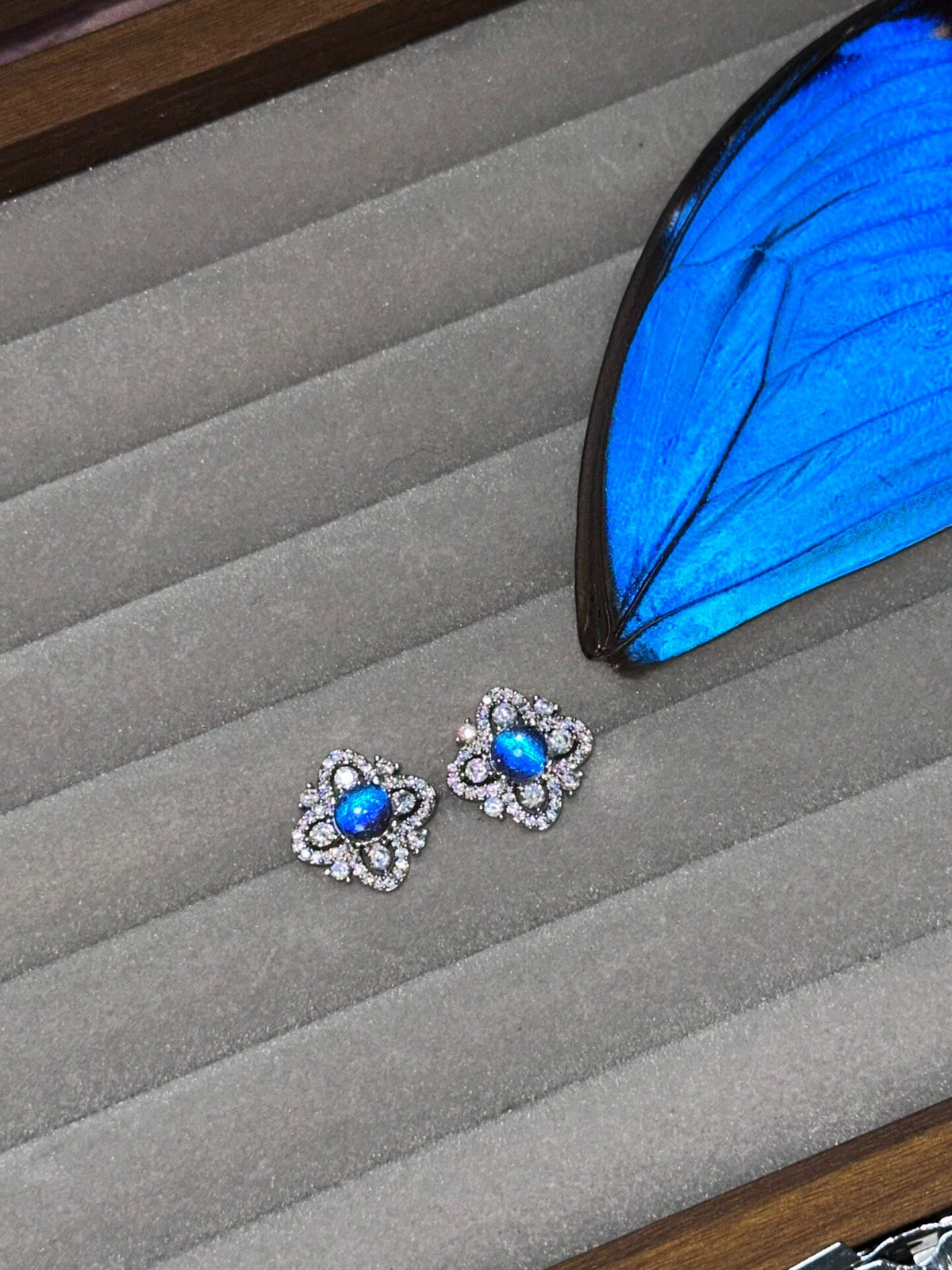 Blue Morpho Butterfly Wing Earrings