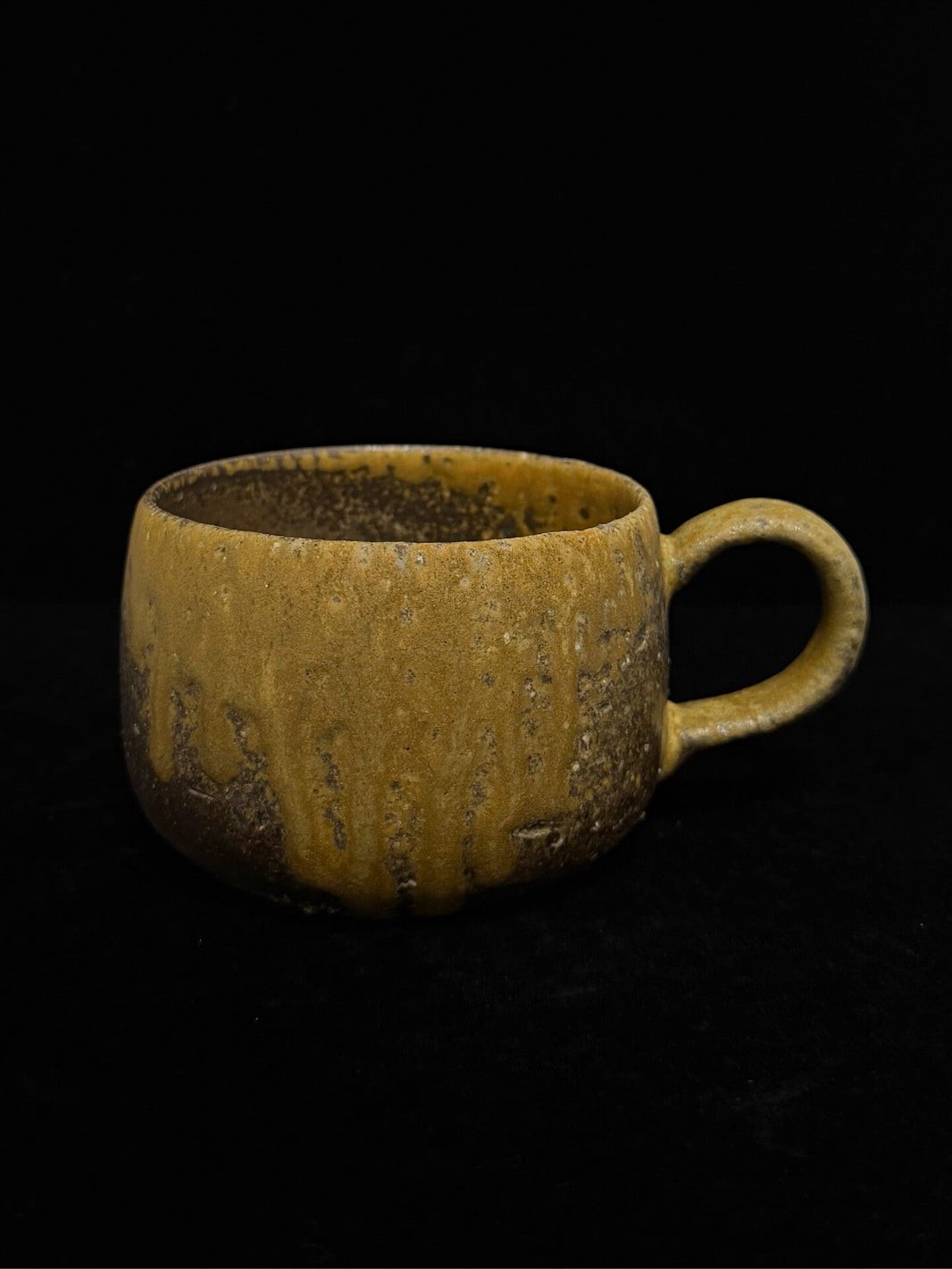 1000462310720 - Image 1
