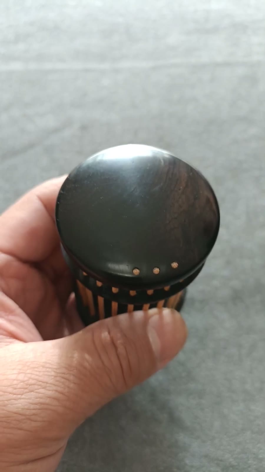 African Blackwood Katydid Cage Handheld