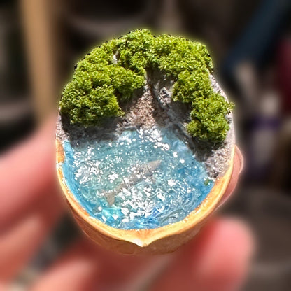 Walnut Shell Miniature Diorama with Coastal Scene