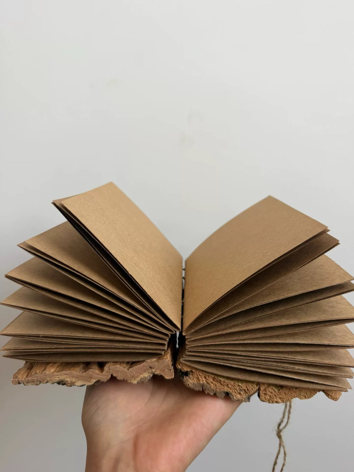 1069958266356 - Image 3
